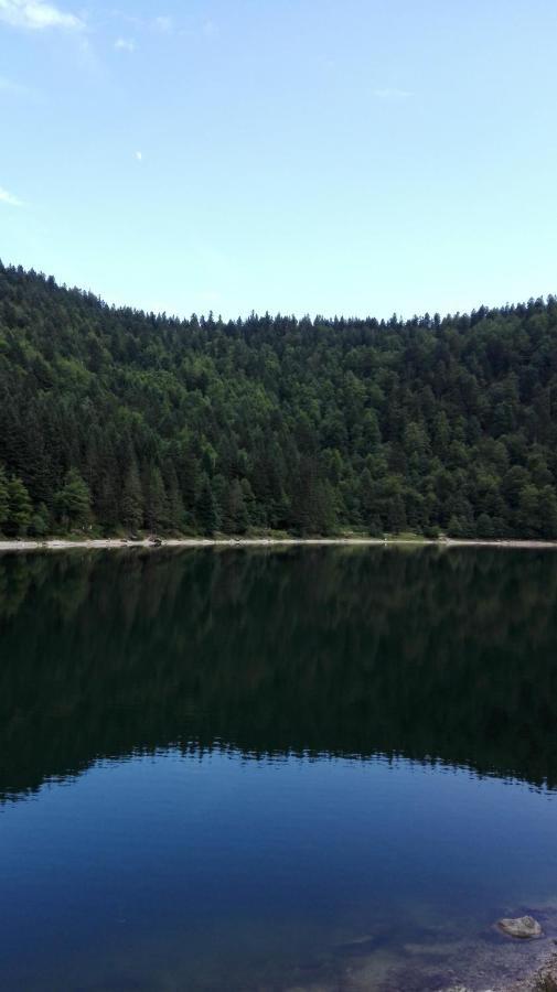 Gite 13 personnes- 7 pièces - wifi - ménage compris - 2 kms du lac des corbeaux - proche pistes navette hivernale à moins de 100m - par aventure le bol d'air à 250m La Bresse Esterno foto