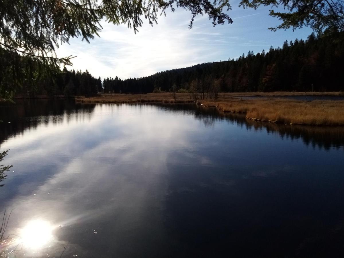 Gite 13 personnes- 7 pièces - wifi - ménage compris - 2 kms du lac des corbeaux - proche pistes navette hivernale à moins de 100m - par aventure le bol d'air à 250m La Bresse Esterno foto
