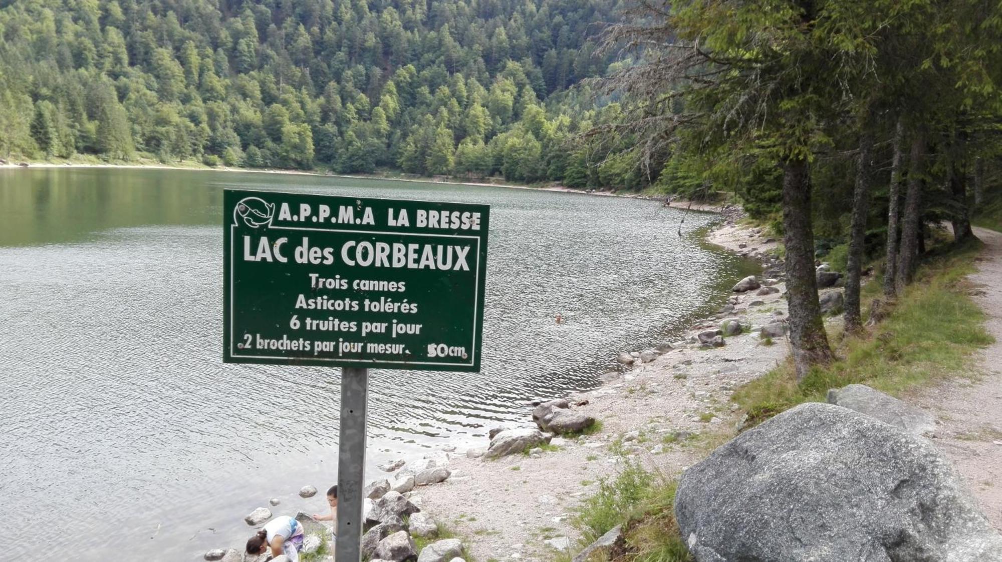 Gite 13 personnes- 7 pièces - wifi - ménage compris - 2 kms du lac des corbeaux - proche pistes navette hivernale à moins de 100m - par aventure le bol d'air à 250m La Bresse Esterno foto