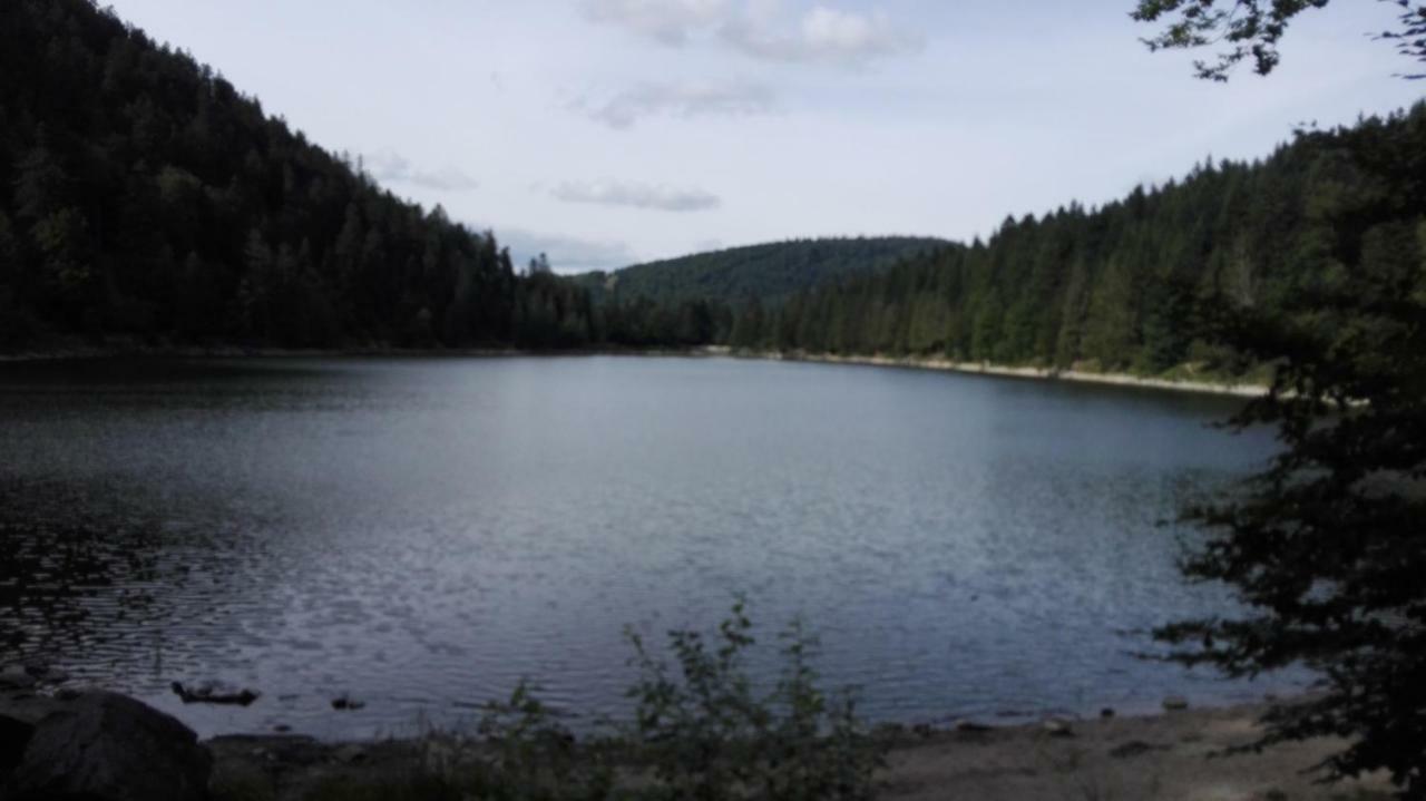 Gite 13 personnes- 7 pièces - wifi - ménage compris - 2 kms du lac des corbeaux - proche pistes navette hivernale à moins de 100m - par aventure le bol d'air à 250m La Bresse Esterno foto