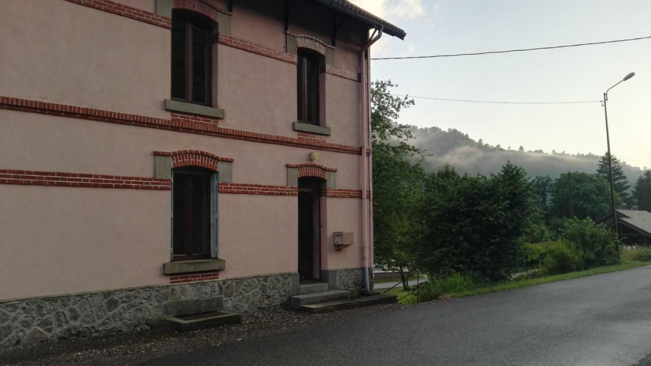 Gite 13 personnes- 7 pièces - wifi - ménage compris - 2 kms du lac des corbeaux - proche pistes navette hivernale à moins de 100m - par aventure le bol d'air à 250m La Bresse Esterno foto